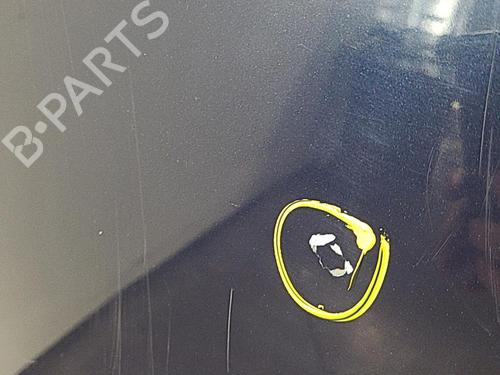 Panser VW NEW BEETLE (9C1, 1C1) 1.9 TDI | BP22829440C1 