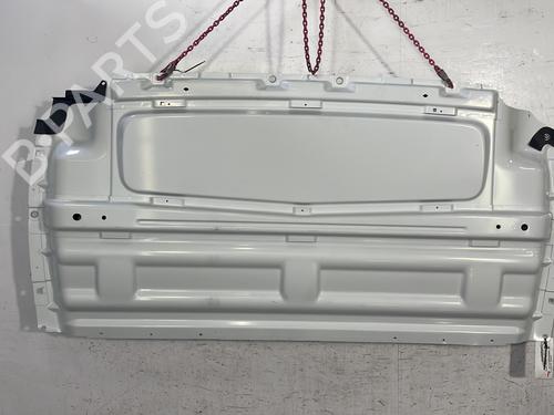 Used Cargo separator Cargo separator RENAULT TRAFIC III Van (FG_) [2014-2026] 25757933 25757933