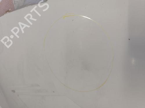 Hood RENAULT MASTER III Van (FV) 2.3 dCi 125 FWD (FV0C, FV0D, FV0G, FV0H, FV0J, FV0K,... | BP31582036C1 