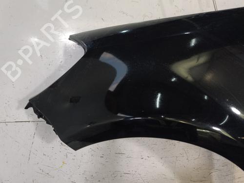 Left front fenders RENAULT CLIO III (BR0/1, CR0/1) 1.5 dCi | BP29700506C41 