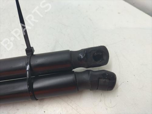 Tailgate lift support FORD FIESTA VII (HJ, HF) 1.1 Ti-VCT | BP29285998C138 