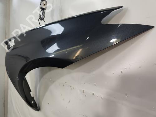Right front fenders RENAULT LAGUNA III (BT0/1) 1.5 dCi (BT00, BT0A, BT0T, BT1J) | BP29165523C42 