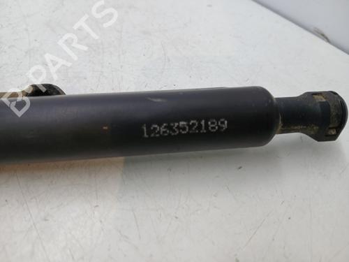 Used Tailgate lift support Tailgate lift support RENAULT SCÉNIC III (JZ0/1_) 1.6 dCi (JZ00, JZ12) (130 hp) 36299296 36299296