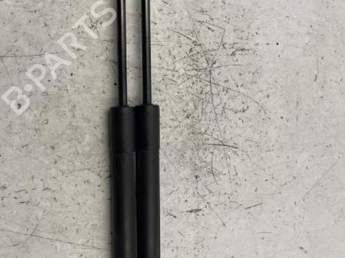Tailgate lift support PEUGEOT 208 I (CA_, CC_) 1.4 HDi | BP22834106C138