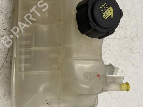 Used Expansion tank RENAULT SCÉNIC III (JZ0/1_) 1.5 dCi (110 hp) 23829841