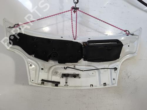 Hood OPEL VIVARO A Van (X83) 1.9 DTI (F7) | BP26181977C1