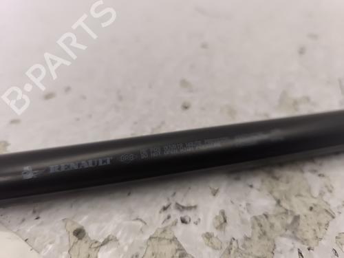 Hood lift support DACIA SANDERO II 1.5 dCi | BP25758094C139 