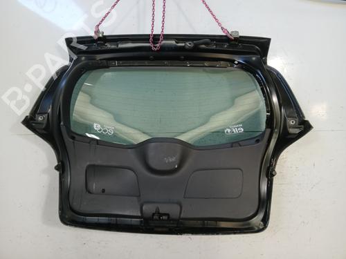 Tailgate RENAULT CLIO III (BR0/1, CR0/1) 1.5 dCi | BP29640012C6 
