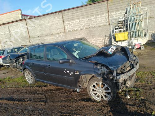 Rear mirror RENAULT MEGANE II (BM0/1_, CM0/1_) 2.0 dCi (BM1K, CM1K) | BP29960215I6