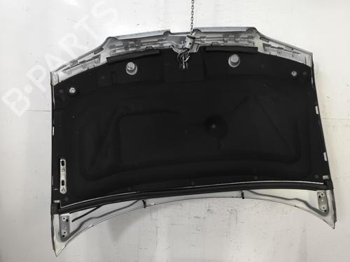 Used Hood Hood 31045692 31045692