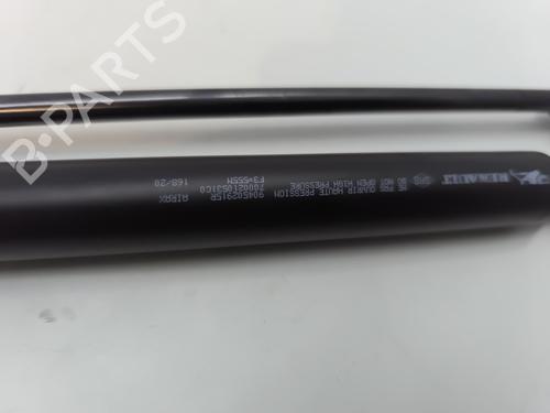 Tailgate lift support RENAULT ZOE (BFM_) ZOE (BFMC, BFMD) | BP25899542C138