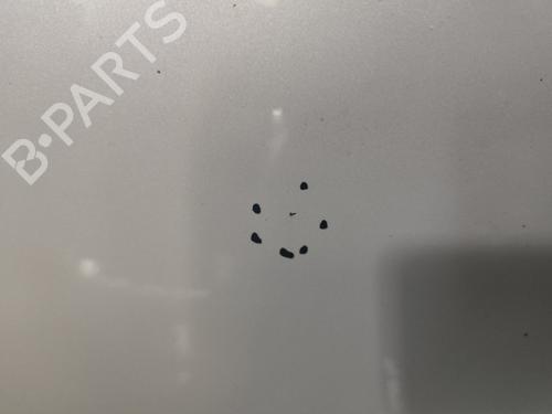 Left front door CITROËN C3 Picasso (SH_) 1.6 HDI 90 | BP32313753C2