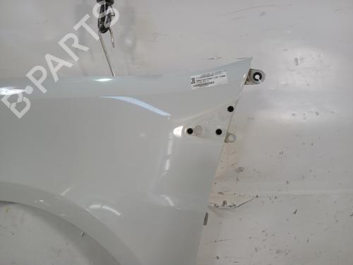 Left front fenders RENAULT CLIO III (BR0/1, CR0/1) 1.5 dCi | BP29540970C41 