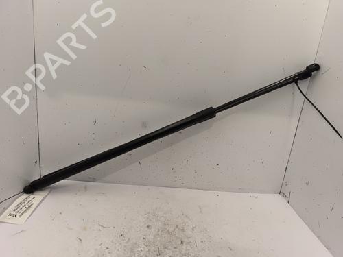 Used Tailgate lift support FORD KUGA II (DM2) 2.0 TDCi (150 hp) 25445442