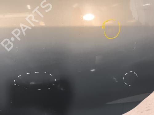 Porte avant gauche RENAULT TWINGO I (C06_) 1.2 (C066, C068) | BP29960206C2