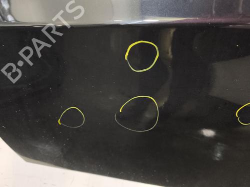 Left front door BMW 3 (E90) 320 d | BP30526601C2