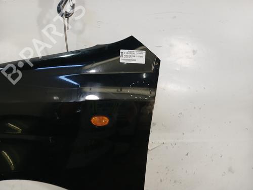 Left front fenders HYUNDAI ATOS (MX) 1.1 | BP29540956C41 