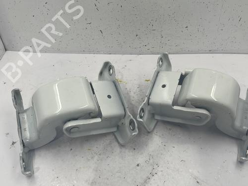 Hinge/Door check strap RENAULT TRAFIC III Van (FG_)  | BP25720255C146 