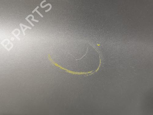 Left front door CITROËN C3 II (SC_) 1.2 VTi 82 | BP29894291C2 