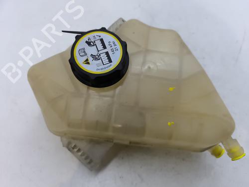 Used Expansion tank FORD FIESTA VI (CB1, CCN) 1.4 TDCi (70 hp) 29193981