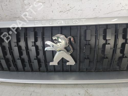 grille-peugeot-expert-van-v_-2016-25837662 main image