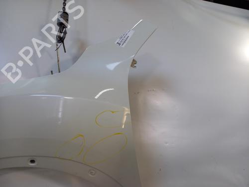 Left front fenders NISSAN JUKE (F15) 1.2 DIG-T | BP28949700C41 