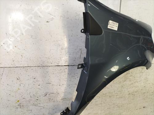 Right front fenders RENAULT CLIO III (BR0/1, CR0/1) 1.2 16V | BP30647424C42