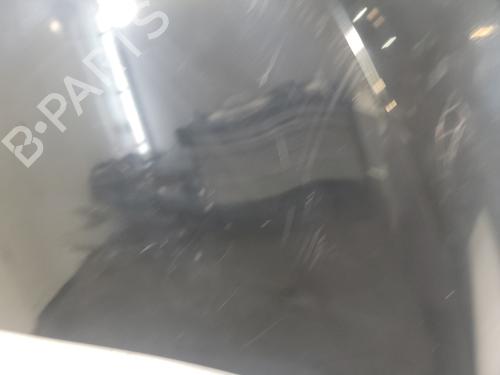 Hood RENAULT MEGANE III Hatchback (BZ0/1_, B3_) 1.5 dCi (BZ09, BZ0D, BZ1W, BZ29, BZ14) | BP25837569C1 