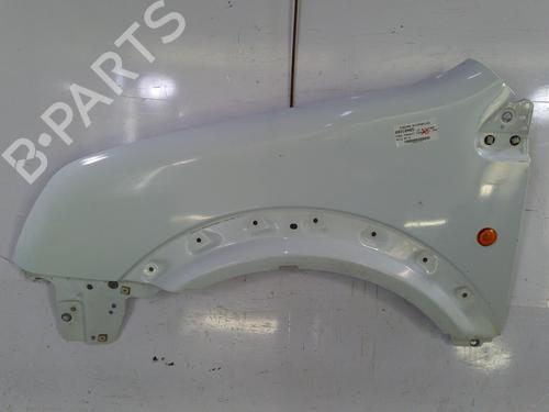 Left front fenders FORD TRANSIT CONNECT (P65_, P70_, P80_) 1.8 TDCi | BP22825513C41 
