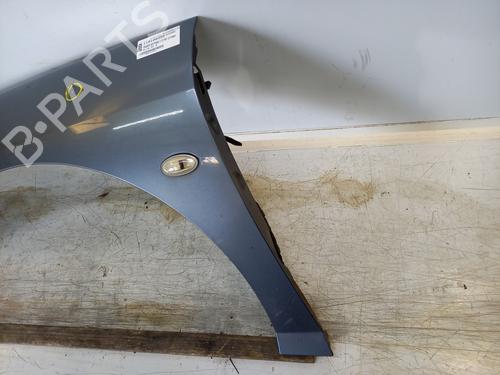 Left front fenders PEUGEOT 407 (6D_) 2.2 HDi 170 (6D4HTH) | BP28178447C41 
