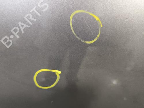 Right rear door RENAULT SCÉNIC III (JZ0/1_) 1.5 dCi | BP29869057C5 