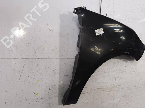 Right front fenders RENAULT SCÉNIC III (JZ0/1_) 1.9 dCi (JZ0J, JZ1J, JZ1K, JZ1S) | BP26148372C42 