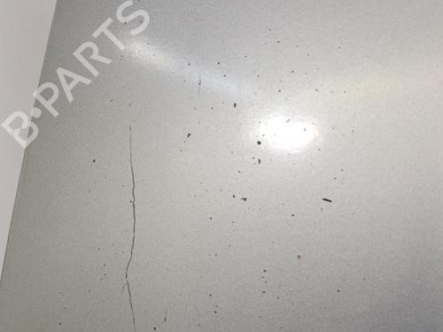 Left tailgate FORD TOURNEO CONNECT 1.8 TDCi | BP22819466C76 