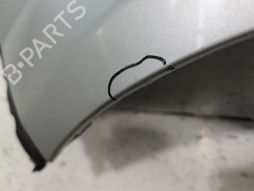 Left front fenders DACIA SANDERO 1.5 dCi | BP30162609C41 