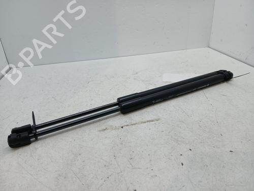 Used Hood lift support RENAULT MEGANE IV Hatchback (B9A/M/N_) 1.5 Blue dCi 115 (B9A6) (116 hp) 30526566