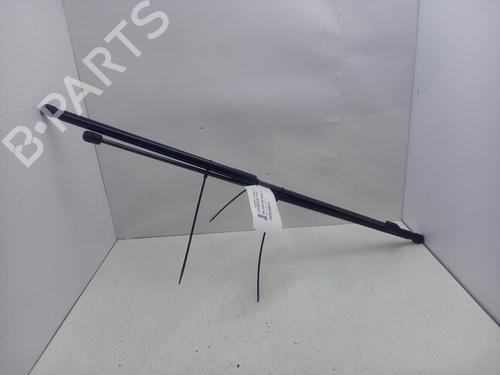 Used Tailgate lift support Tailgate lift support RENAULT MEGANE III Coupe (DZ0/1_) 2.0 R.S. (265 hp) 36106723 36106723
