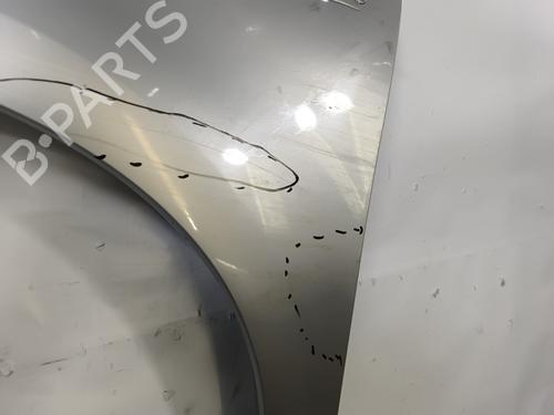Left front fenders CITROËN C4 Grand Picasso I (UA_) 1.6 HDi | BP29222506C41 