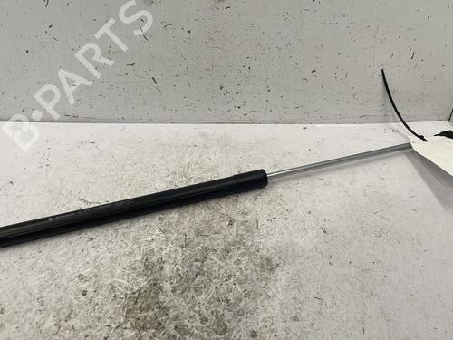 Used Hood lift support DACIA SANDERO II 1.5 dCi (90 hp) 25445532