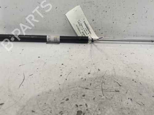 Hood lift support DACIA SANDERO II TCe 90 (B8M1, B8MA, B8AC) | BP22846066C139 