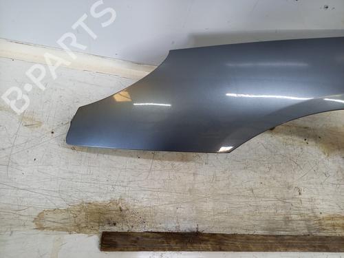 Left front fenders PEUGEOT 407 (6D_) 2.2 HDi 170 (6D4HTH) | BP28178447C41 