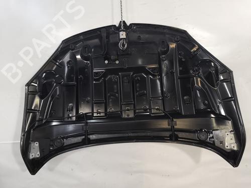 Hood RENAULT MEGANE III Grandtour (KZ0/1) 1.6 dCi (KZ00, KZ12, KZ13) | BP29491897C1 