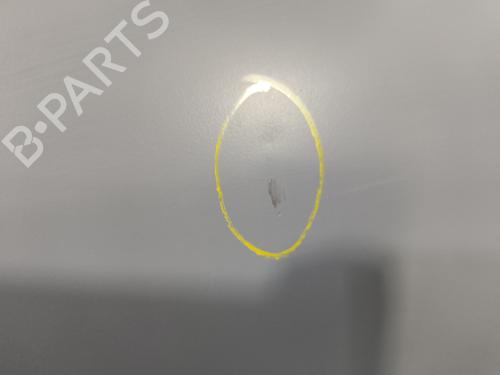 Right front door PEUGEOT 206+ (2L_, 2M_) 1.1 | BP24637026C3 