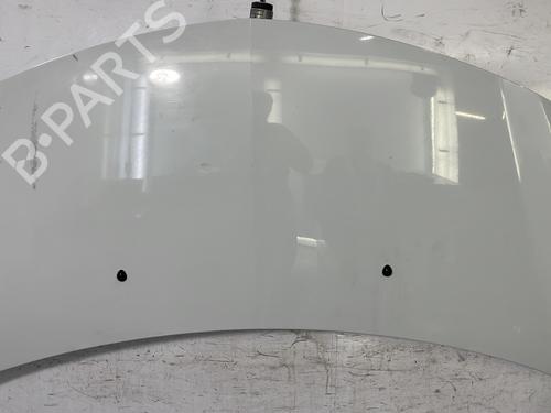 Hood RENAULT CLIO III (BR0/1, CR0/1) 1.5 dCi (C/BR0G, C/BR1G) | BP22844505C1