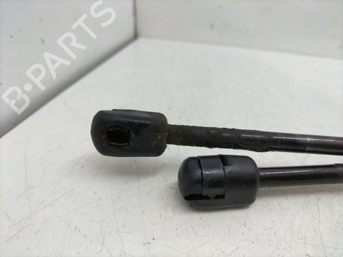 Tailgate lift support PEUGEOT 5008 (0U_, 0E_) 2.0 HDi | BP29834100C138 