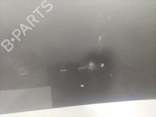 Hood RENAULT SCÉNIC III (JZ0/1_) 1.5 dCi | BP23829220C1 