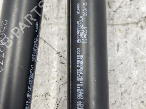 Tailgate lift support PEUGEOT 208 I (CA_, CC_) 1.6 BlueHDi 100 | BP22833859C138