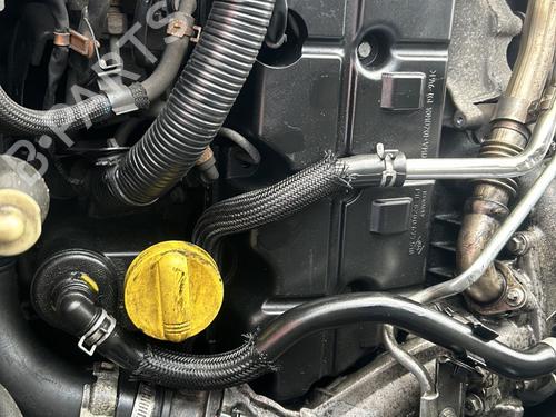 Engine SUZUKI GRAND VITARA II (JT, TE, TD) 1.9 DDiS All-wheel Drive (JT419, TD44, JB419WD, JB419XD,... | BP31019271M1