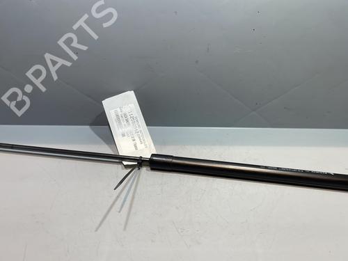 Used Hood lift support DACIA SANDERO II 1.0 SCe 75 (B8JC, B8JD, B8NC) (73 hp) 29338990