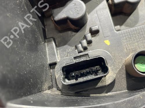 Lampeholder RENAULT CLIO III (BR0/1, CR0/1) 1.5 dCi (C/BR0G, C/BR1G) | BP29054504L10