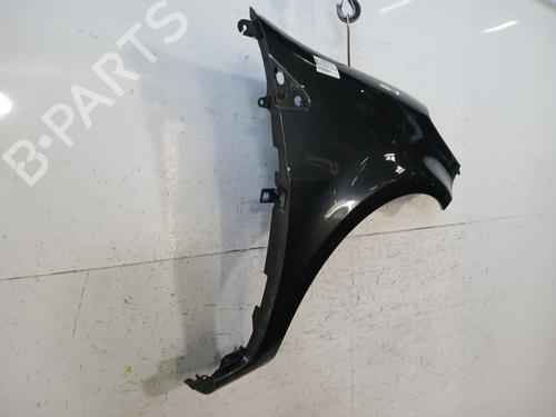 Right front fenders RENAULT CLIO III (BR0/1, CR0/1) 1.5 dCi (C/BR0G, C/BR1G) | BP29700430C42 
